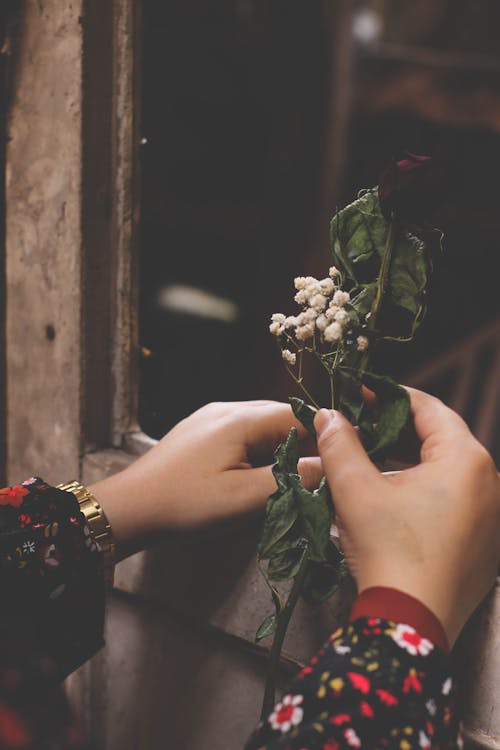 Free Close-Up Shot of a Person Holding a Dried Rose Stock Photo