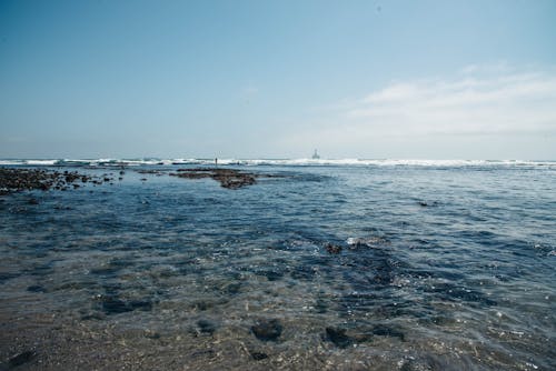 Free stock photo of atlantic ocean, beach