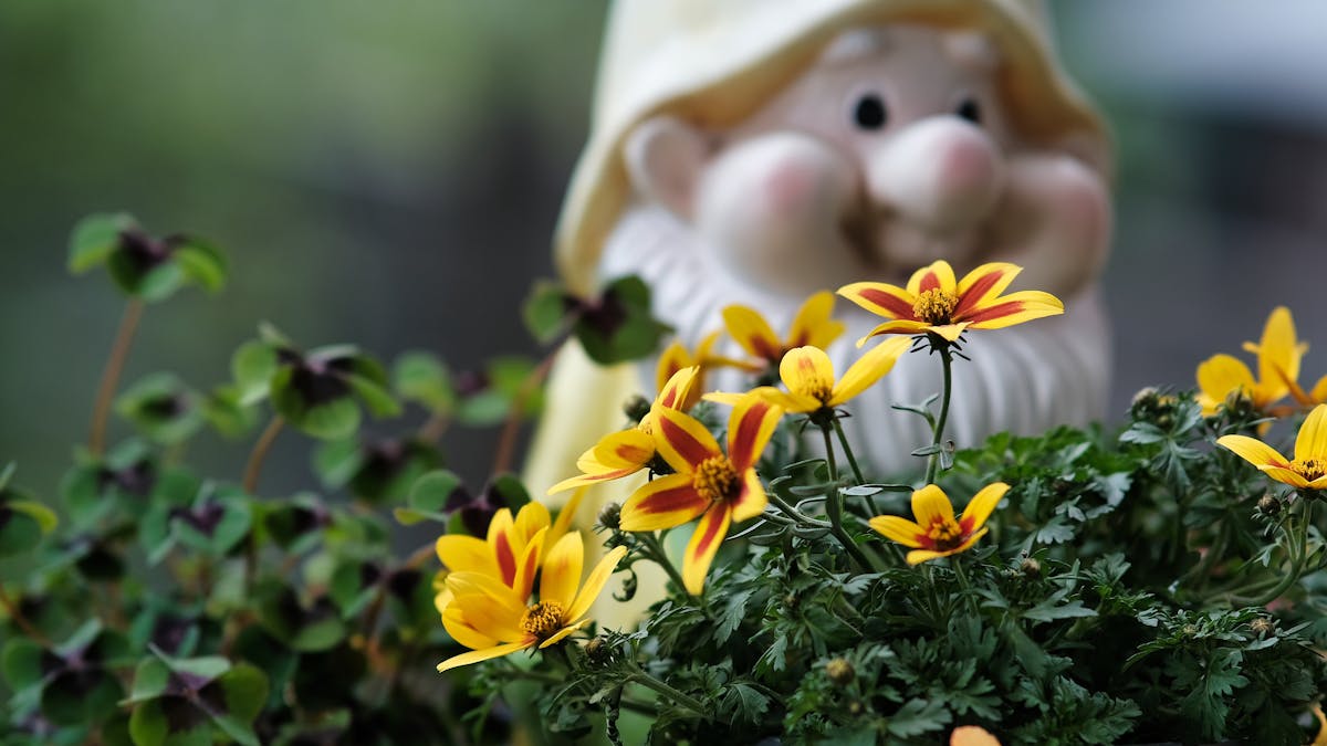 Cozy rental living room with peel-and-stick wall decor and framed art