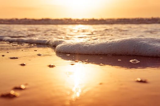 Golden sunrise over a calm Florida beach, capturing sea foam and gentle waves.