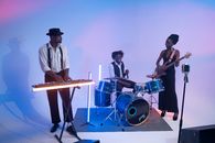Group of People Playing Musical Instruments