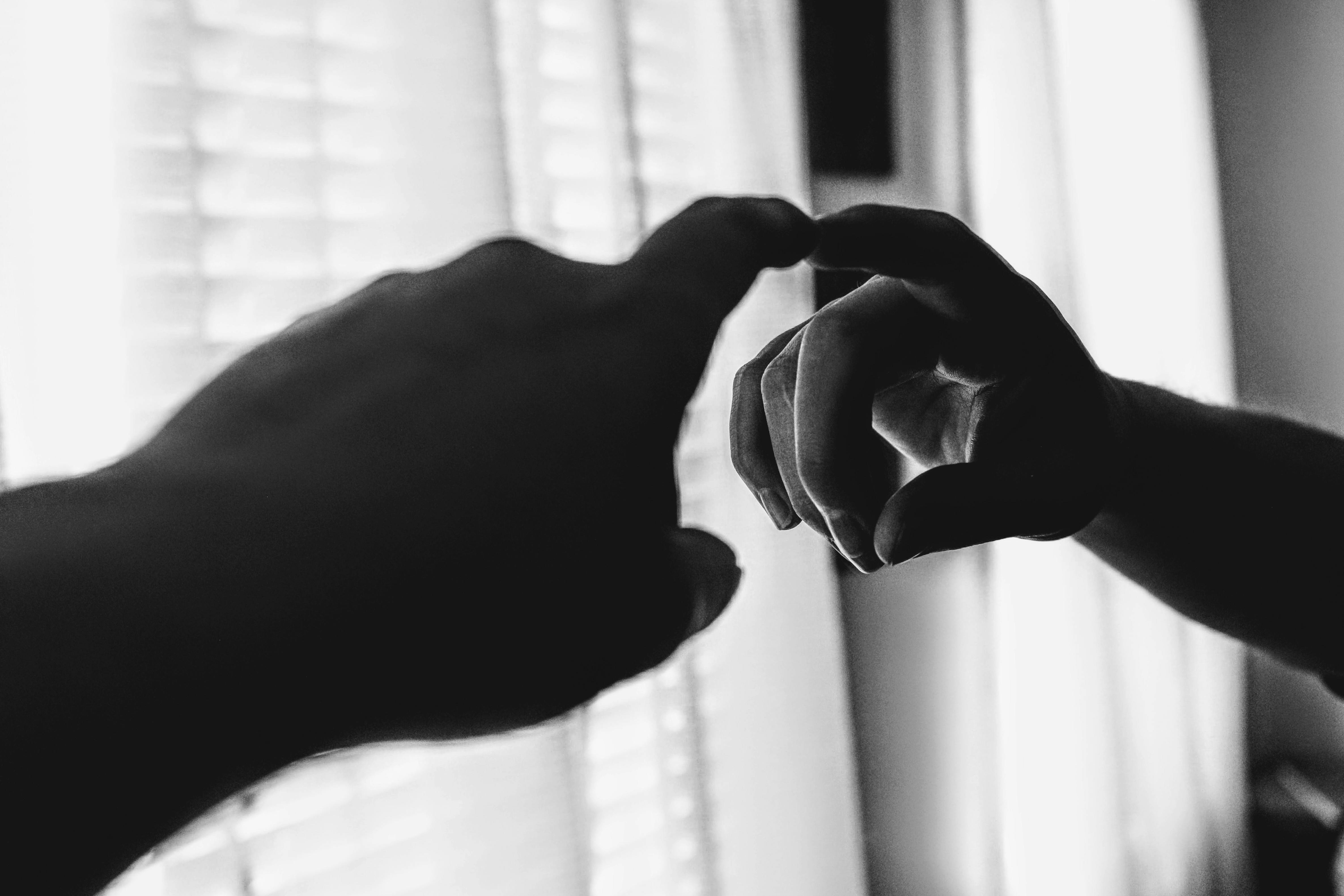 1000+ Great Reflection Photos · Pexels · Free Stock Photos