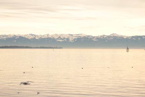 Gratis stockfoto met berg, meer, mooi behang