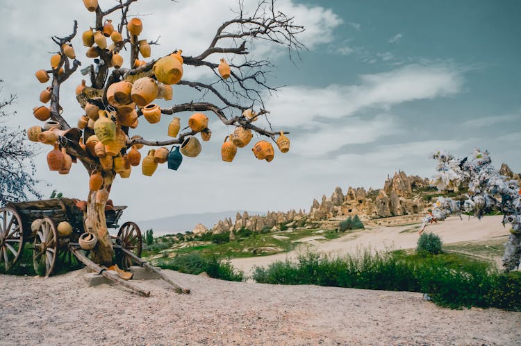 Landscape With A Strange Tree 