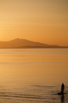 Serene sunset at Qualicum Beach with a view of silhouetted figures against golden waters.