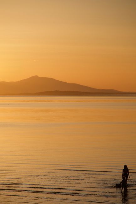 Serene sunset at Qualicum Beach with a view of silhouetted figures against golden waters.