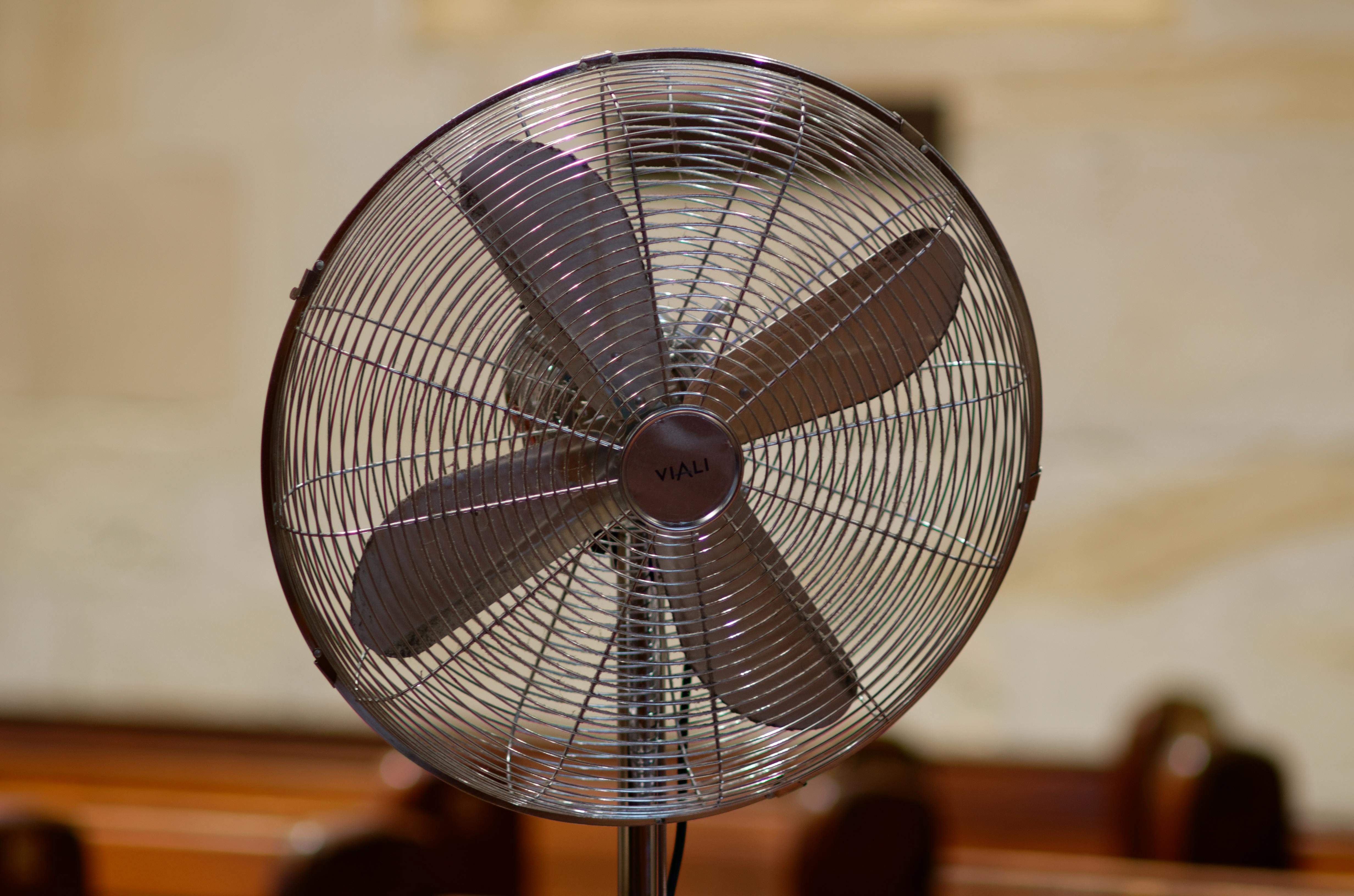 Free stock photo of church church fan fan