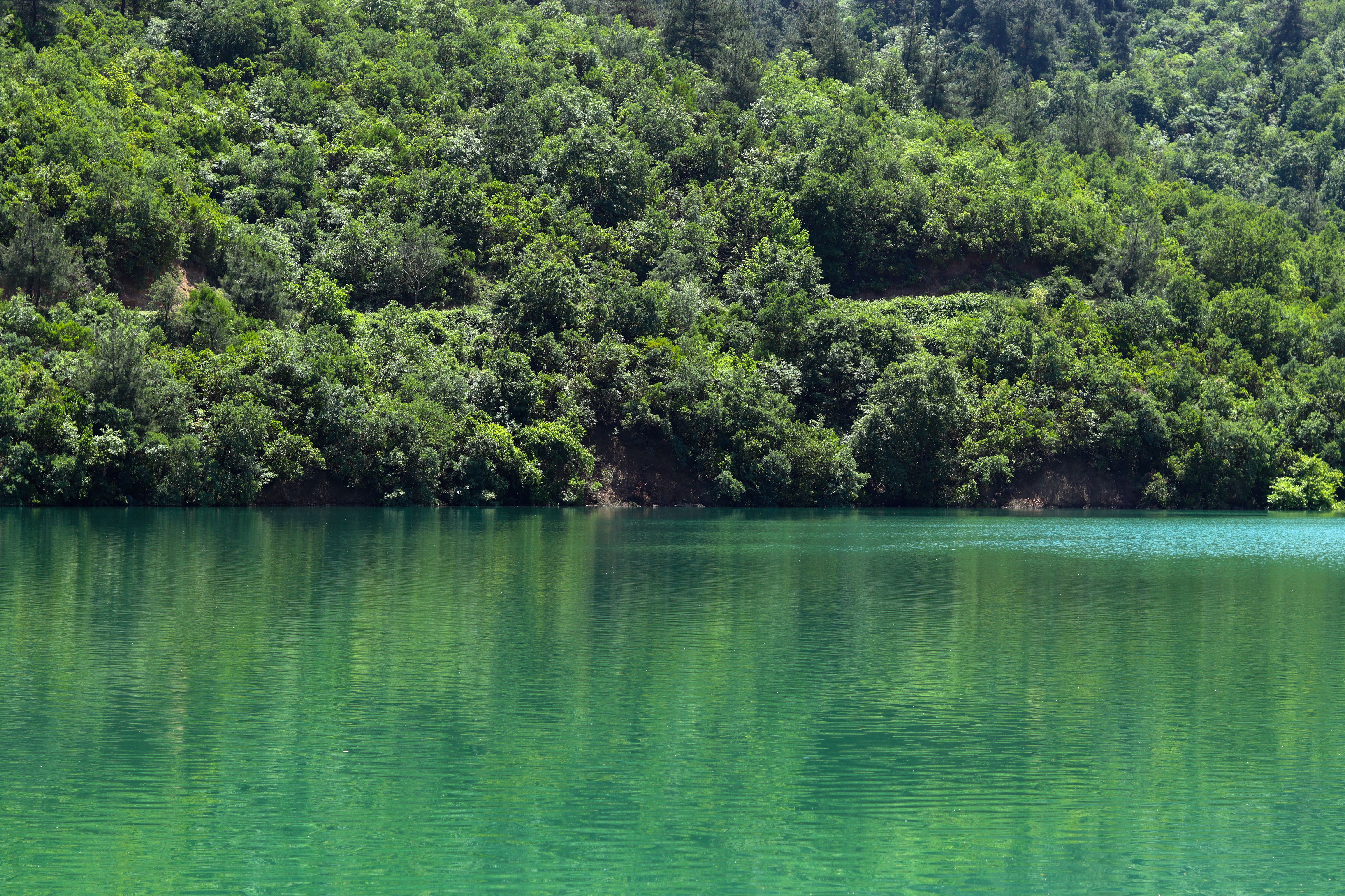 Parque Natural de Aiako Harria