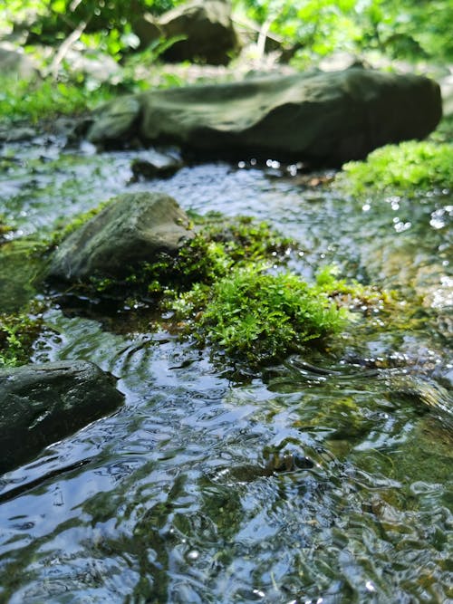 Základová fotografie zdarma na téma gotický, líbit, následovat