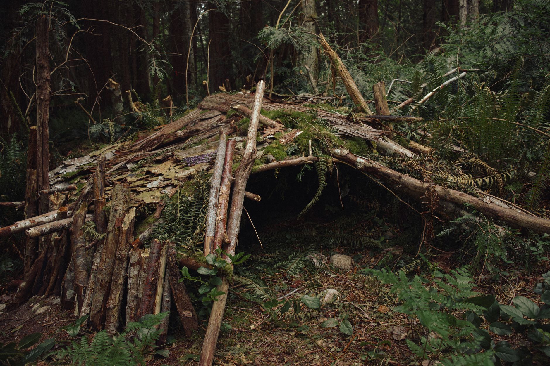 Nature & survie
