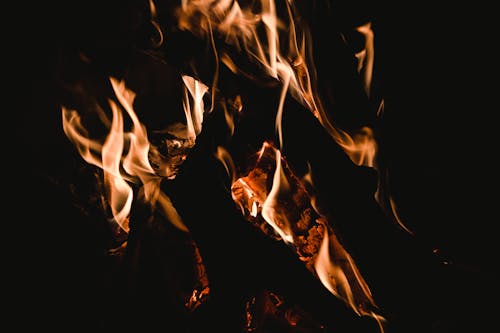 Imagine de stoc gratuită din arde, ardere, atrăgător