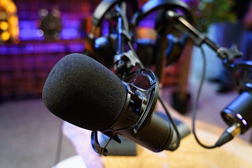 A Close-up Shot of a Condenser Microphone