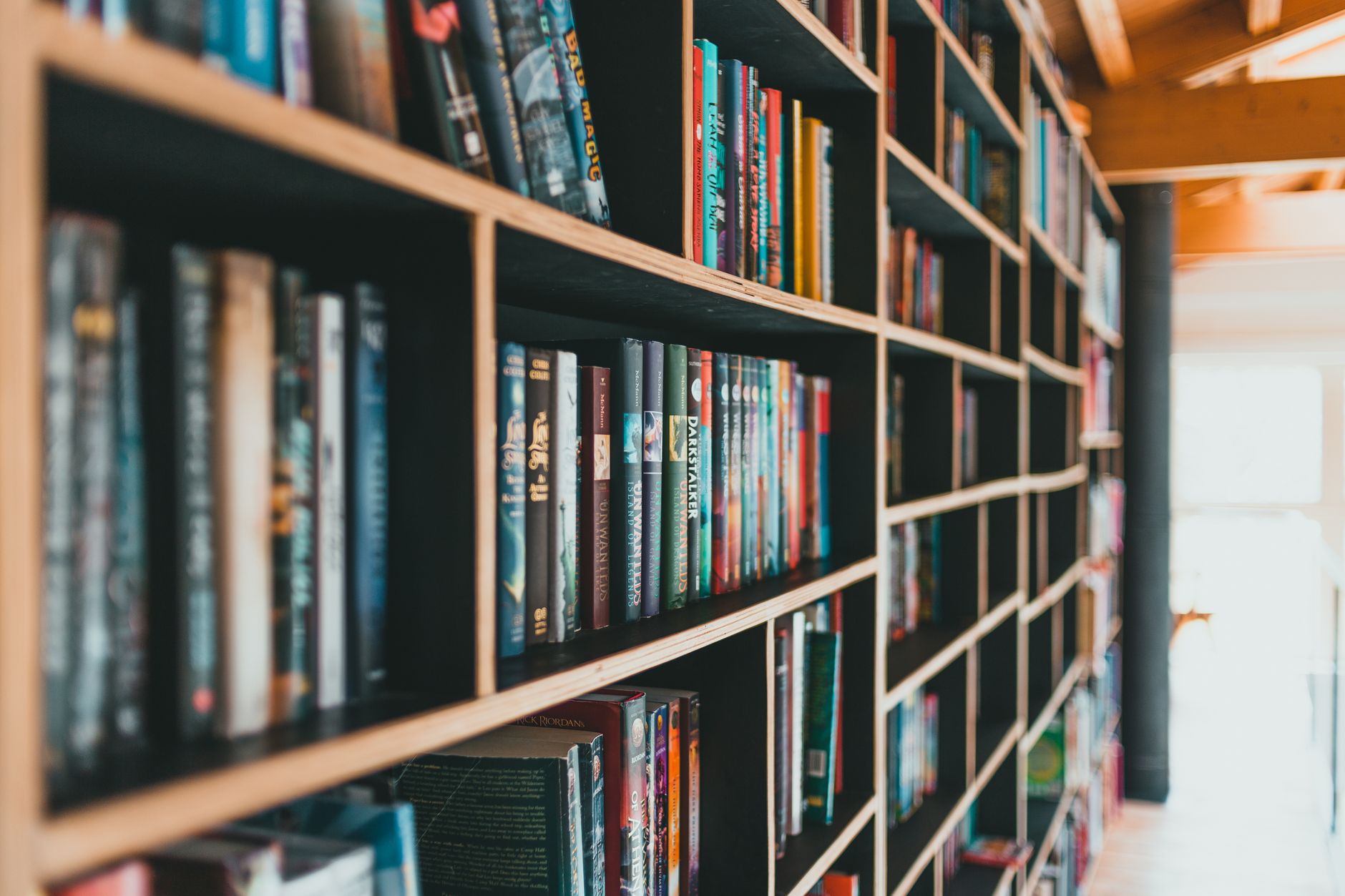 Bookshelves filled with fantasy books and novels