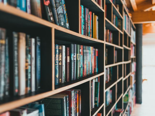 The novel dividing the season: the critics split, the readers did not