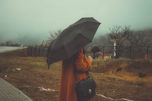 Foto profissional grátis de abrigo, de pé, guarda-chuva