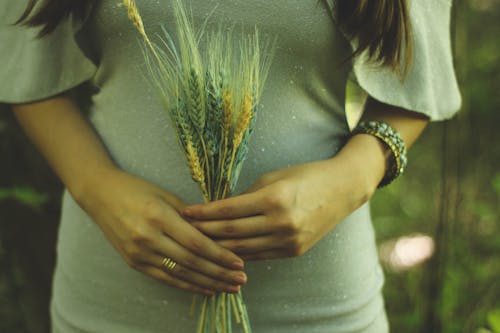 Hands Holding Bouquet of Colorful Wheat