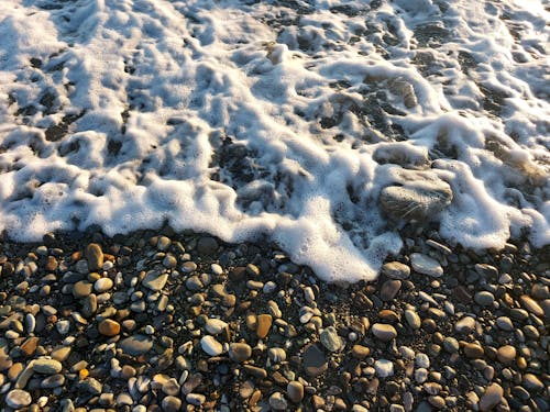 Gratis lagerfoto af bobler, bølger, hav