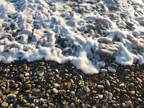 Foto profissional grátis de beira-mar, bolhas, borrifar