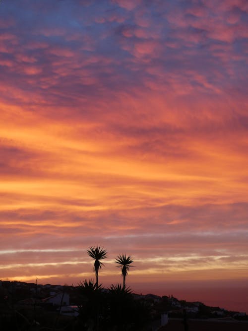 Fotobanka s bezplatnými fotkami na tému farby západu slnka, idylický, mraky
