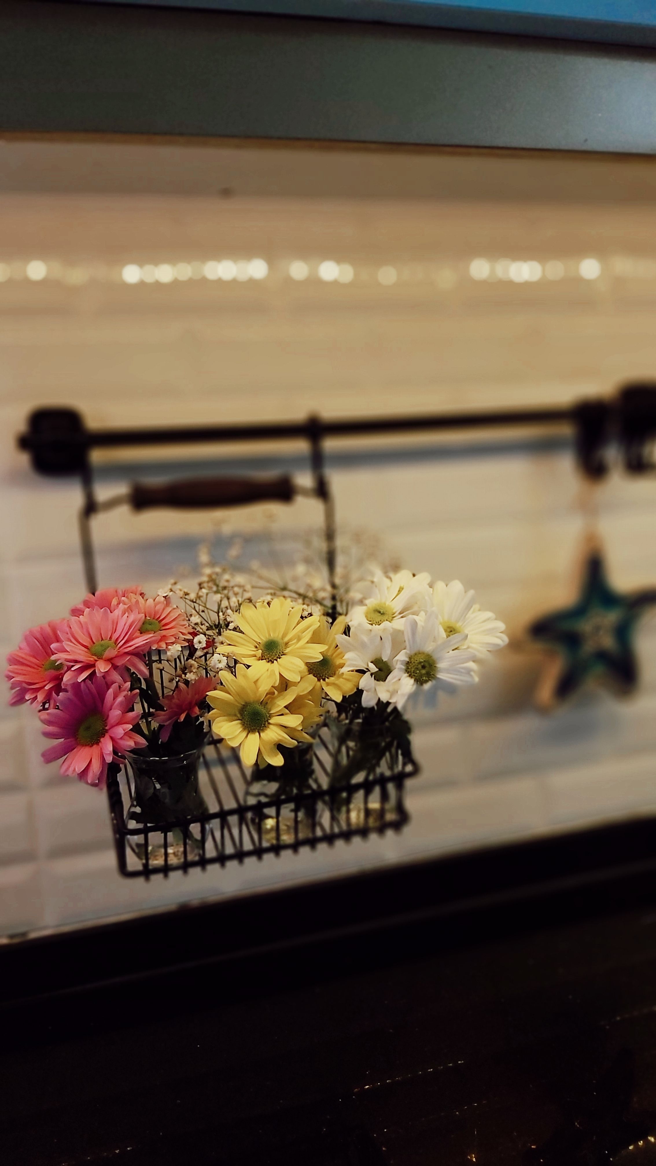 Colorful daisies in a hanging basket, creating a cheerful still life scene indoors.