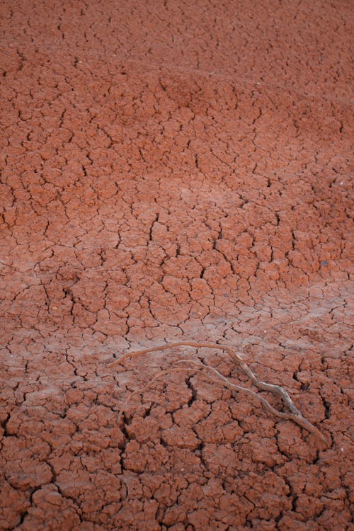 Free Close-Up Shot of a Dry Soil  Stock Photo