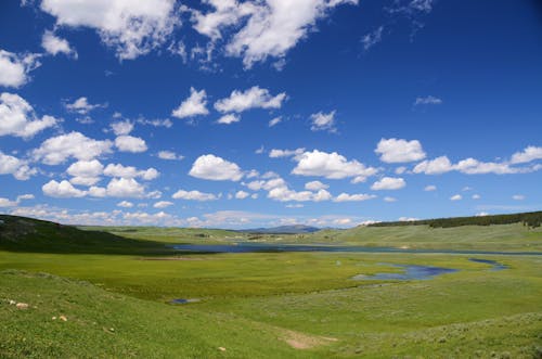 Campos Verdes Bajo El Cielo Nublado Azul