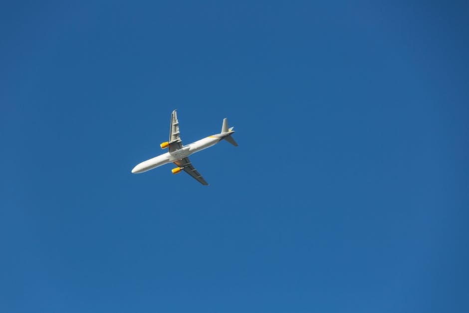 White and Gray Plane