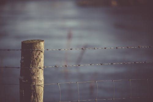 Selective Focus Photography Of Fence