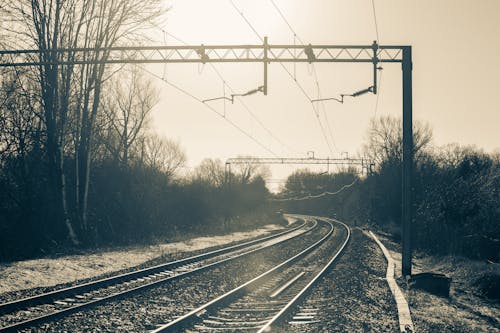 Gratis lagerfoto af jernbane, kø, morgengry