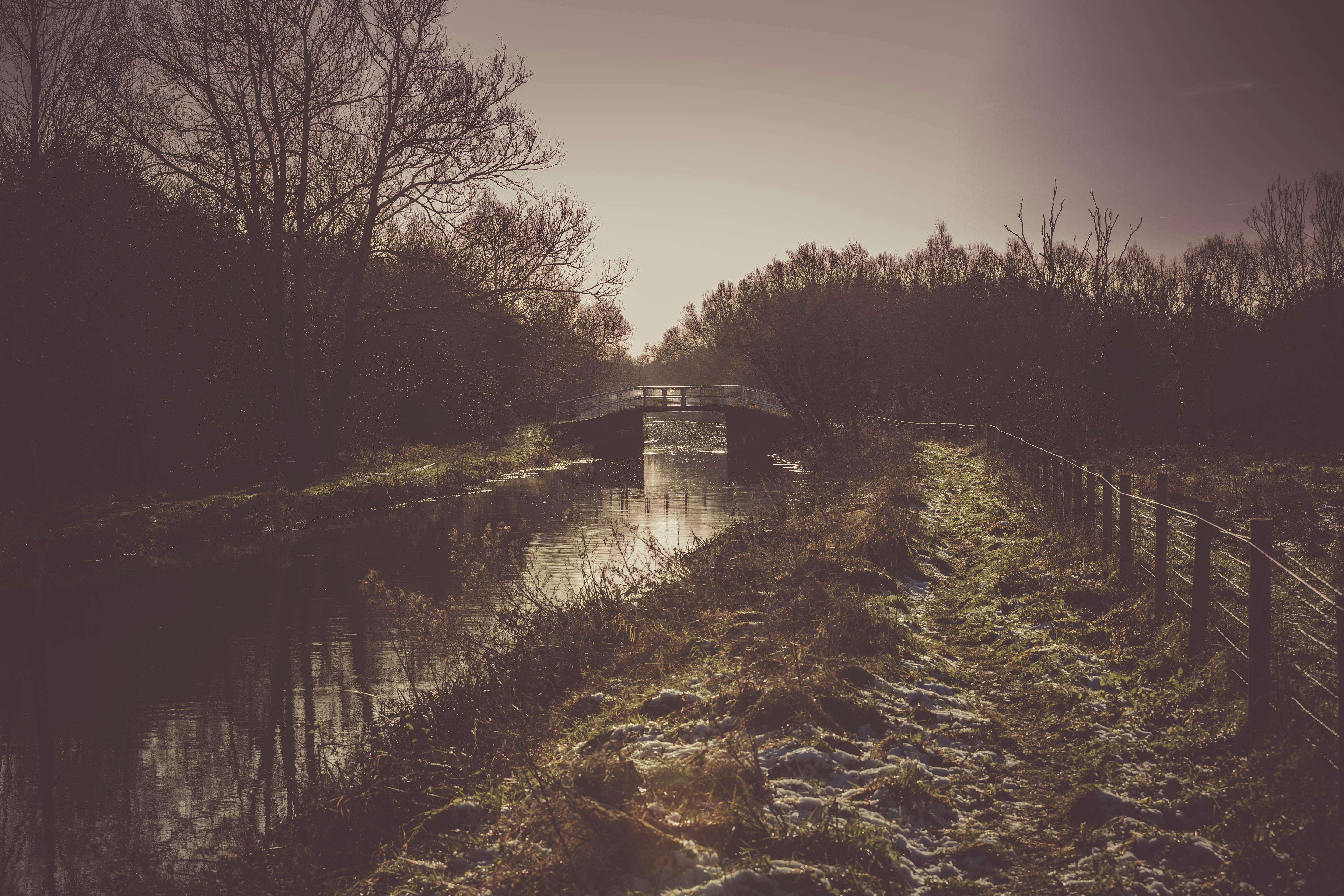 黄昏时分，一座桥横跨在薄雾缭绕的河上，四周树木环绕