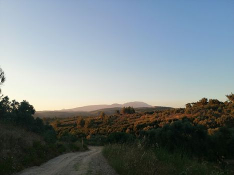 Tranquil dirt road through lush landscape at sunset in Izmir, Turkey's countryside.