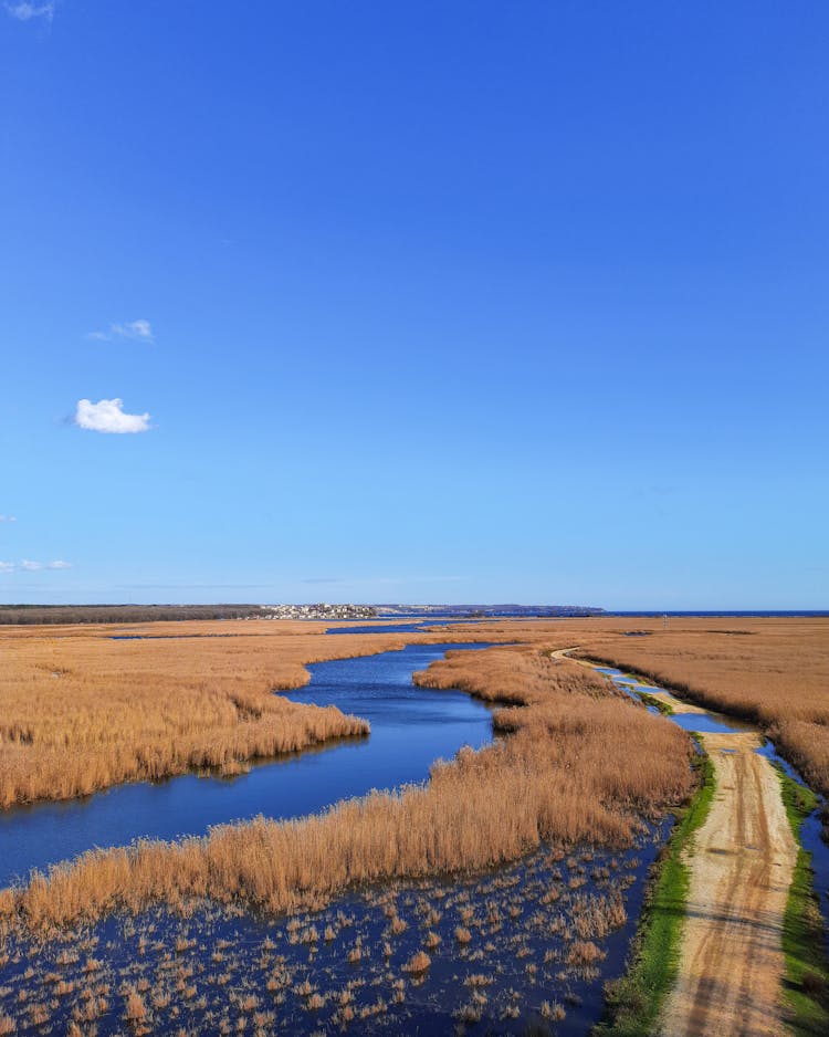 Marshland Under Blue Sky