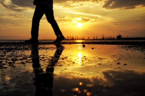 Silhouette of a Person Walking on Wet Ground During Sunset