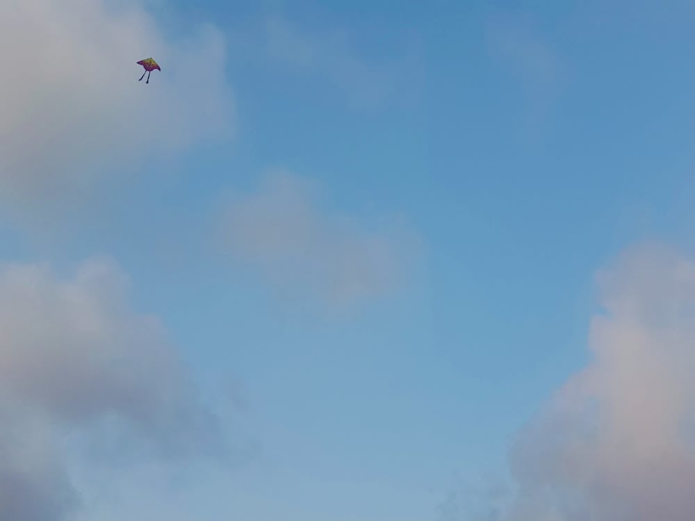 Free stock photo of kite, sky