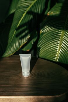 Simple mockup of a cosmetic tube on a wooden table surrounded by lush green leaves.