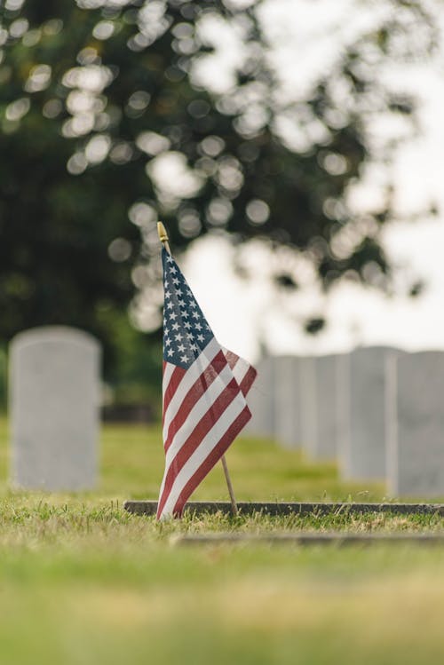 grátis Foto profissional grátis de bandeira, bandeira americana, cemitério Foto profissional