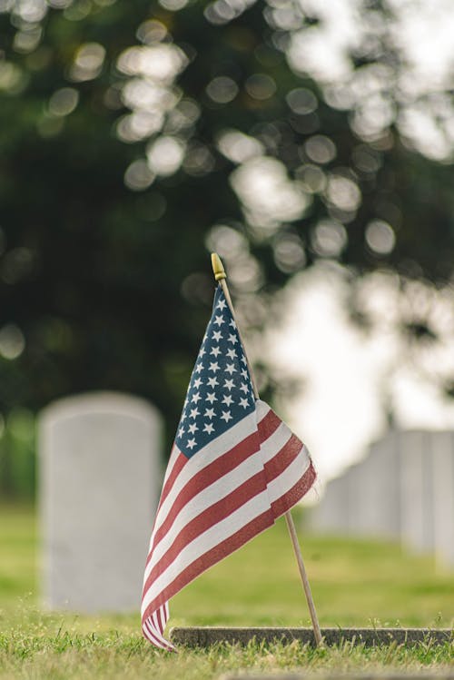 Photos gratuites de arrière-plan flou, cimetière, drapeau américain