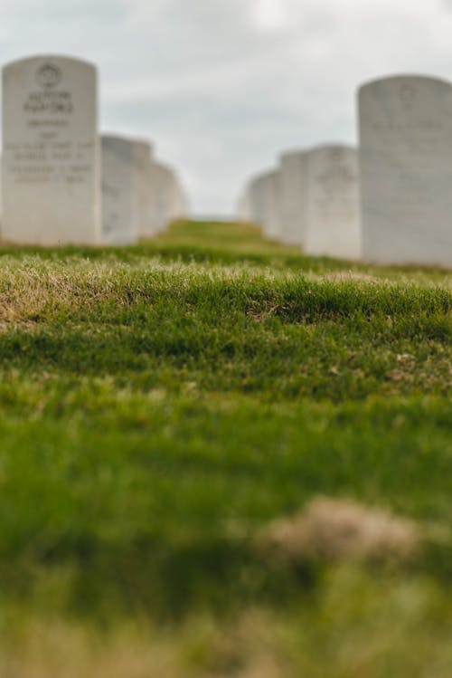 Free A Green Grass on Cemetery Stock Photo