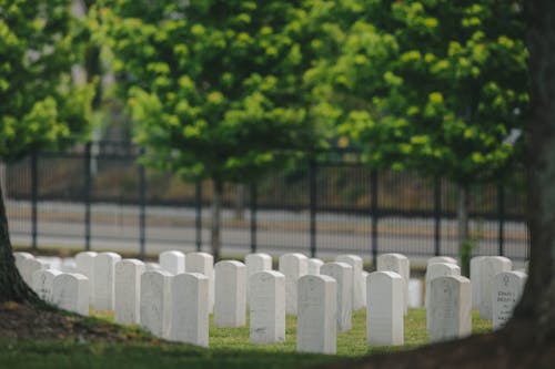 White Marble Stone on the Green Grass