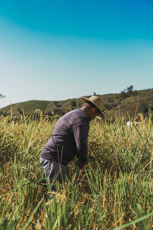 A Man Standing on the Farm Field