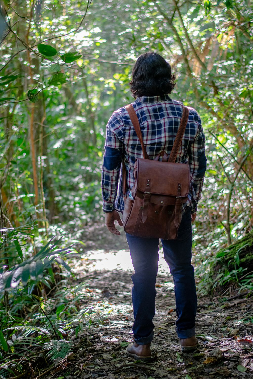 A Man Standing on the Forest Path · Free Stock Photo