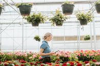 Woman in Blue T-shirt Sitting on Red Flower Field