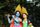 4k wallpaper radha krishna god