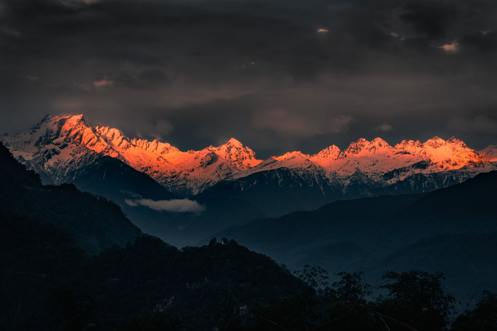 The Kanchenjunga range lit rose and gold at sunrise above dark forested ridges in Sikkim
