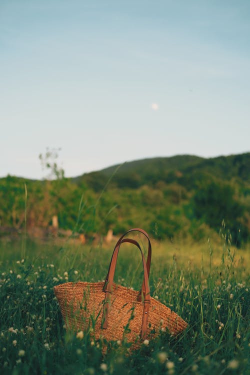 Bag on grassy field in countryside