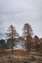 Free stock photo of 4k wallpaper, alps, autumn