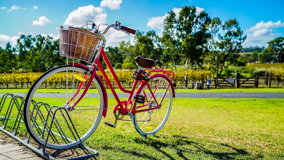 Red Cruiser Bike Parked On Metal Bike Stand