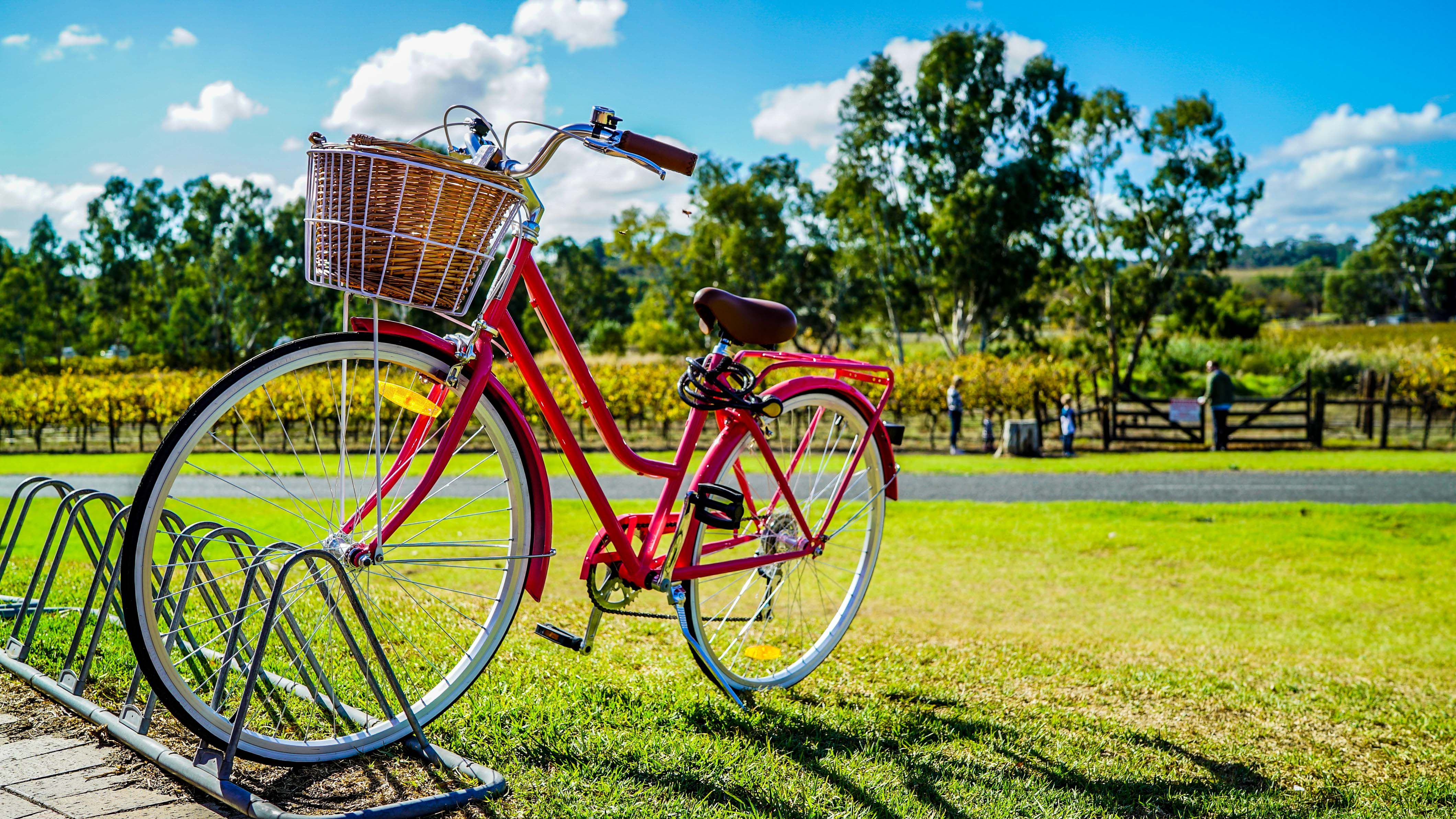 bicyclette dans les arbres