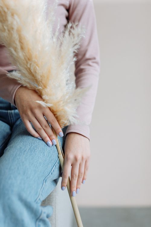 Free Close-up of manicured hands holding pampas grass, showcasing pastel purple nails stylishly. Stock Photo