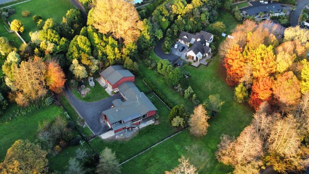 Explore a picturesque aerial view of houses surrounded by vibrant fall foliage and lush greenery.